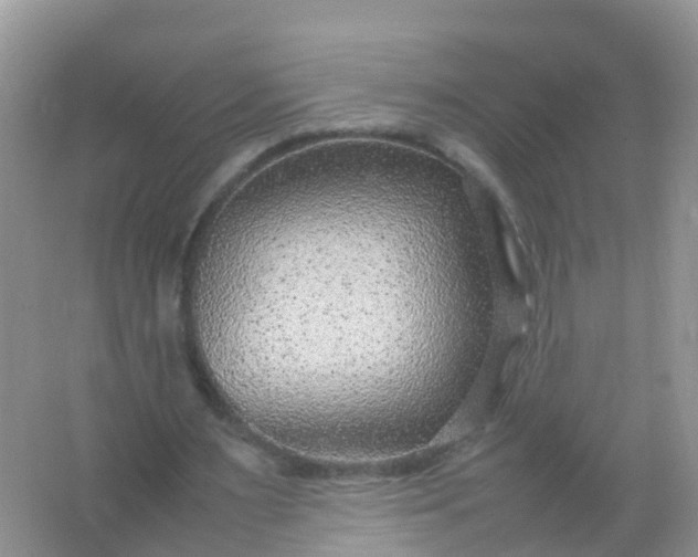 X0000066940483200604071916