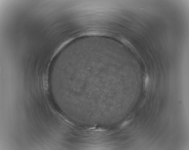 X0000066940484200604071916