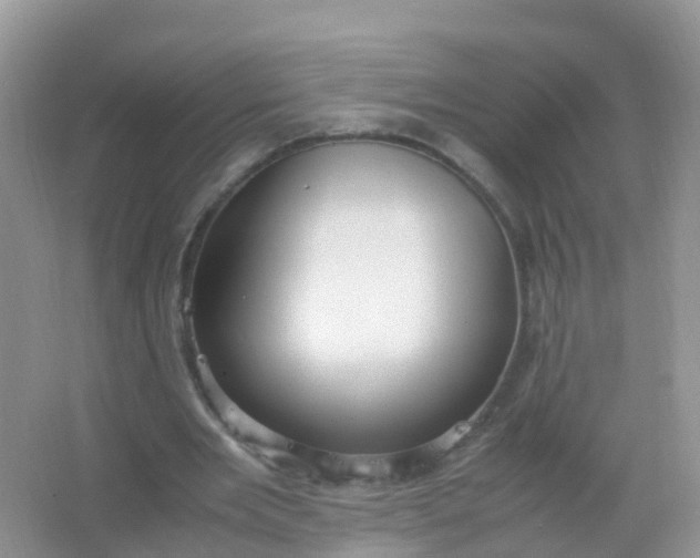 X0000066940485200604071916