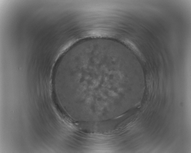 X0000066940488200604071916