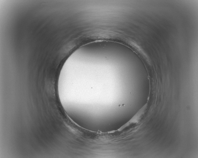 X0000066940489200604071916