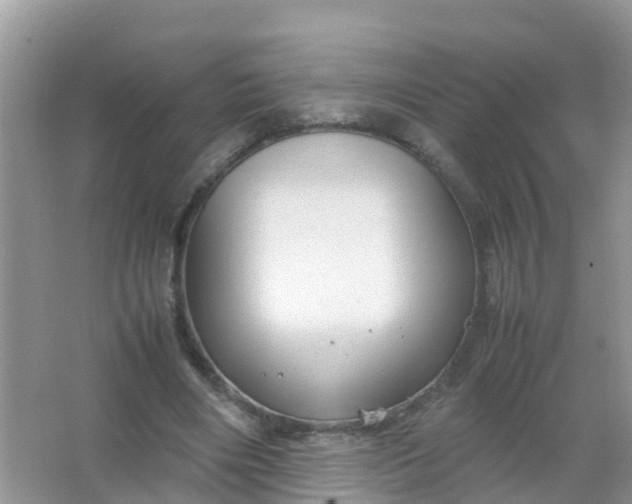 X0000066940490200604071916