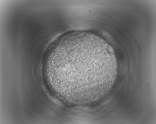 X0000066940491200604071916