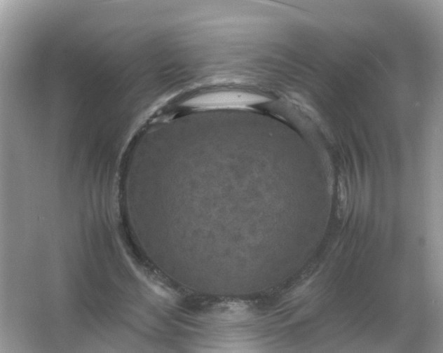 X0000066940492200604071916