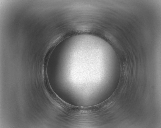 X0000066940494200604071916