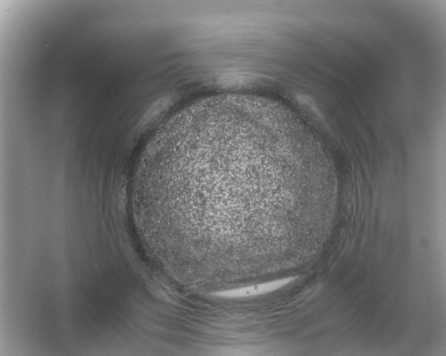 X0000066940495200604071916