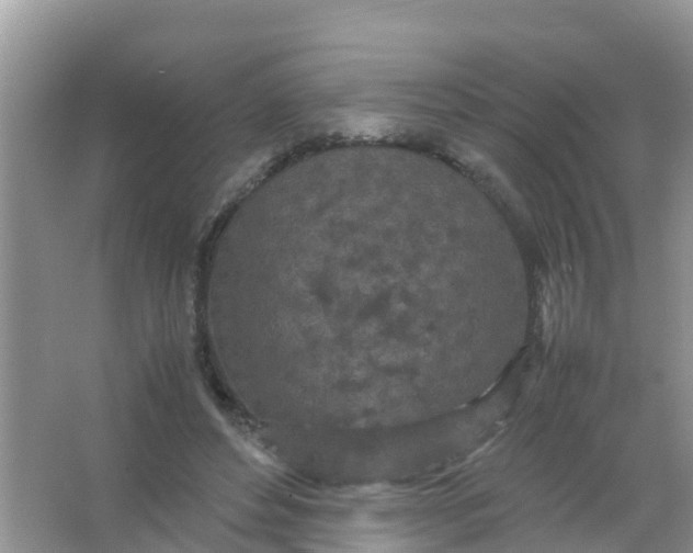 X0000066940496200604071916