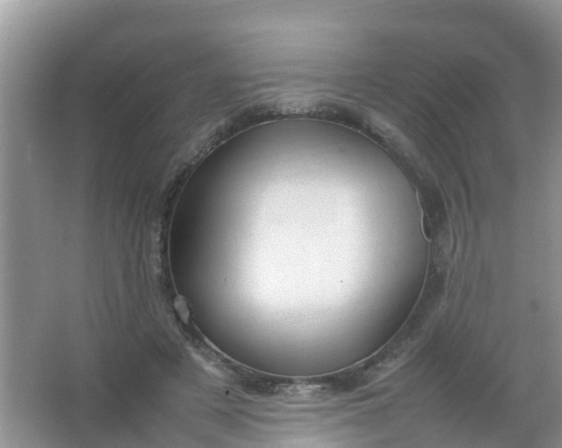 X0000066940497200604071916