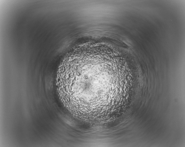 X0000066940499200604071916