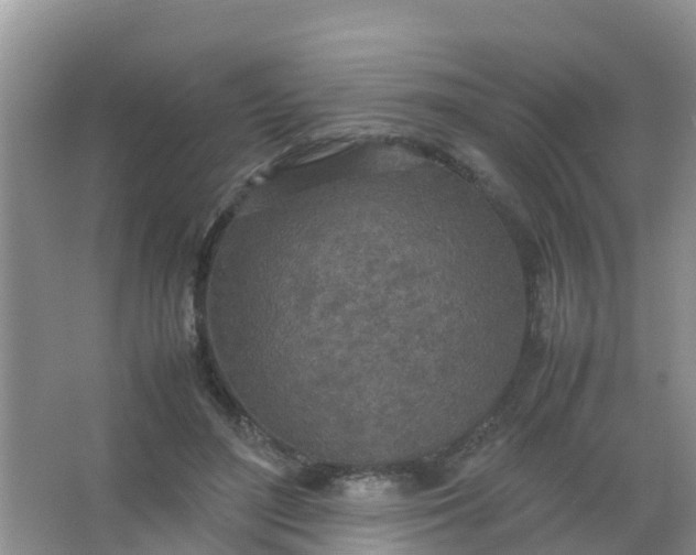 X0000066940500200604071916