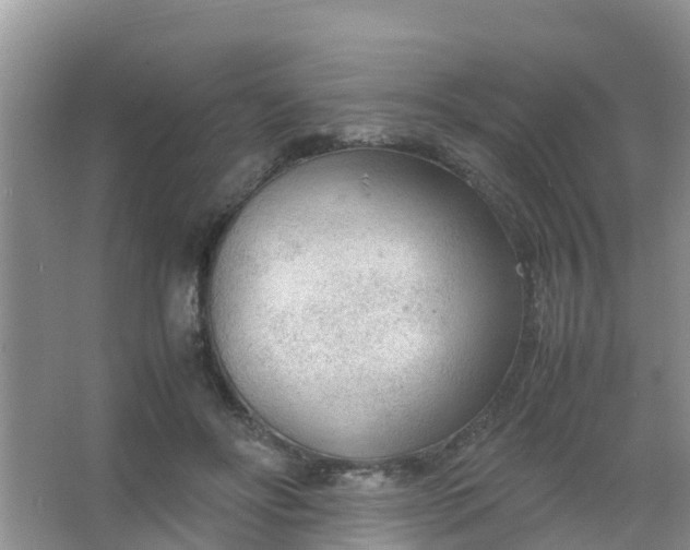 X0000066940502200604071916