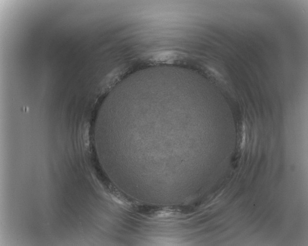 X0000066940504200604071916