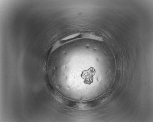 X0000066940507200604071916