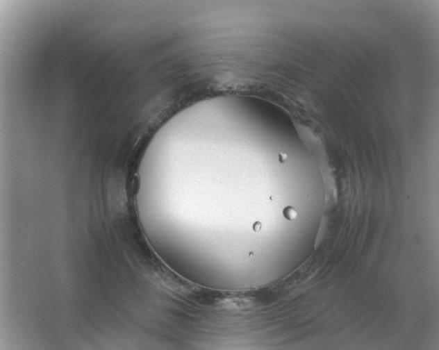 X0000066940508200604071916