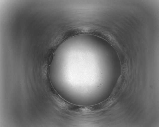 X0000066940509200604071916