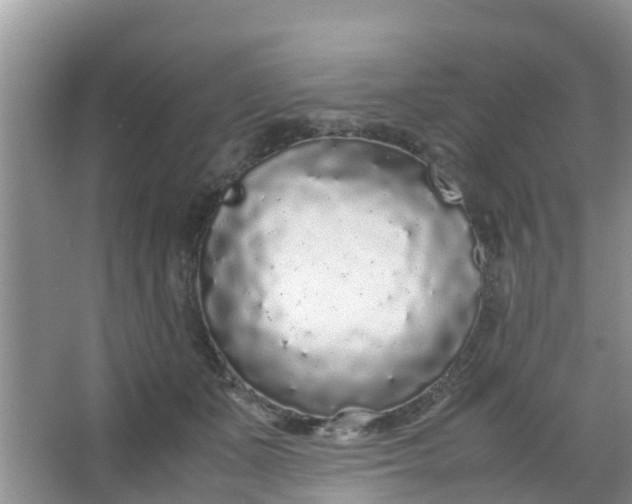 X0000066940511200604071916