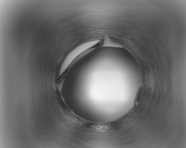 X0000066940512200604071916