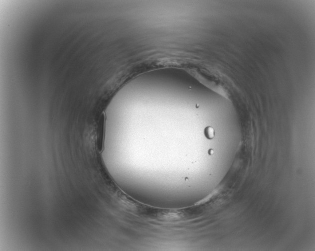 X0000066940513200604071916