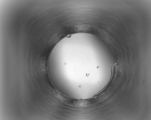 X0000066940514200604071916