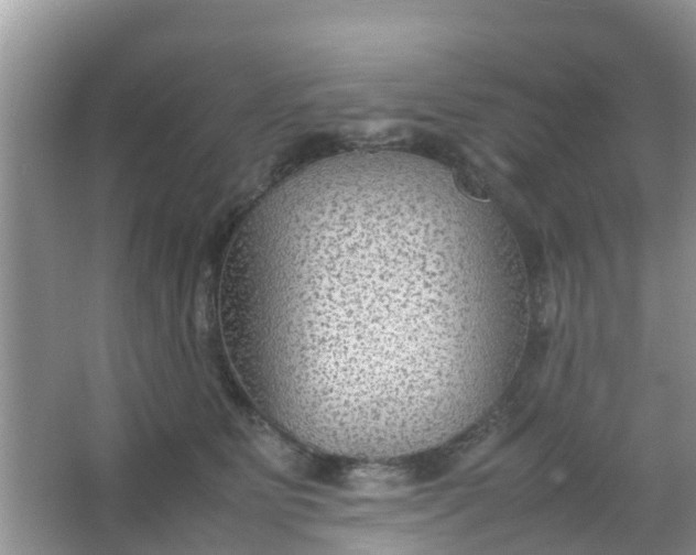 X0000066940515200604071916