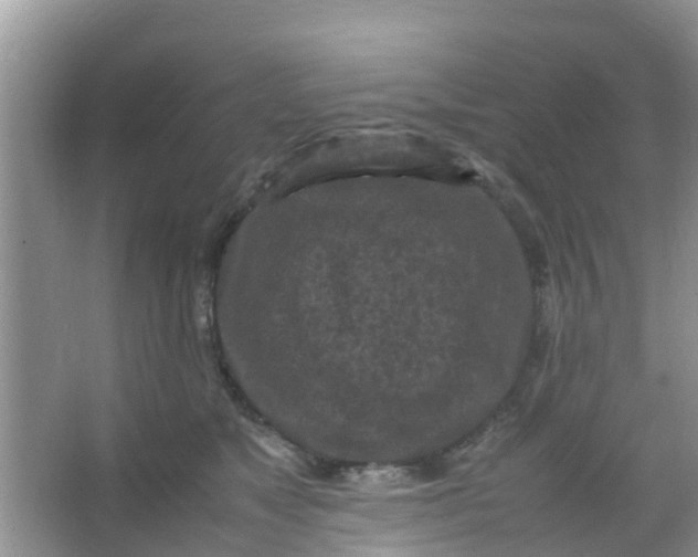 X0000066940517200604071916