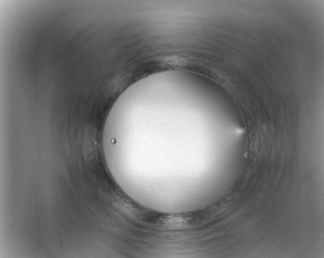 X0000066940518200604071916