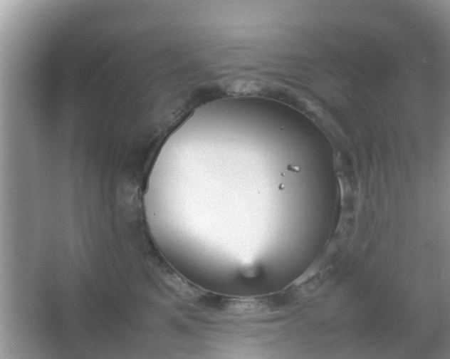 X0000066940521200604071915