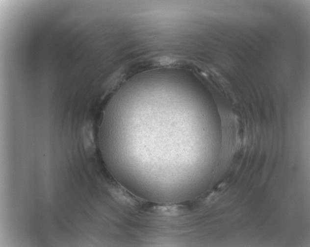 X0000066940524200604071915