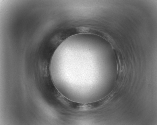 X0000066940525200604071915