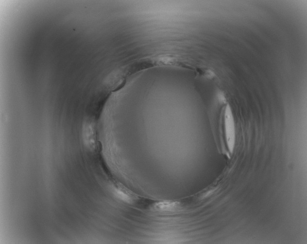 X0000066940526200604071915