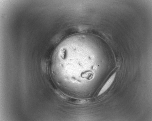 X0000066940527200604071915