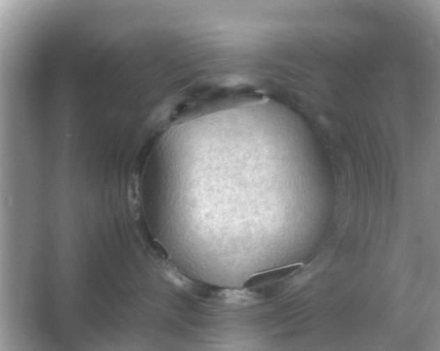 X0000066940528200604071915