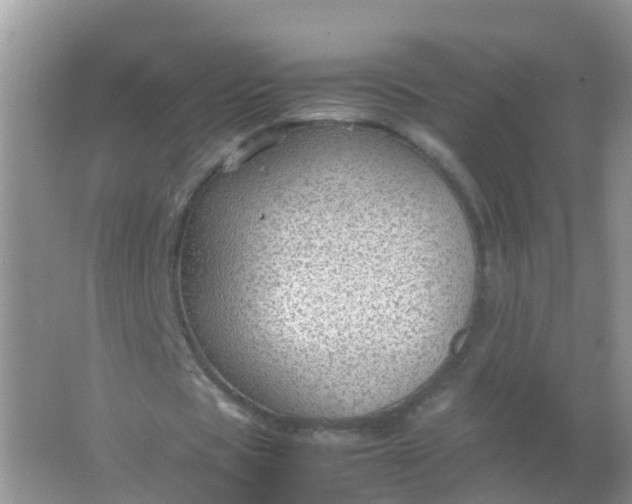 X0000066940529200604071915