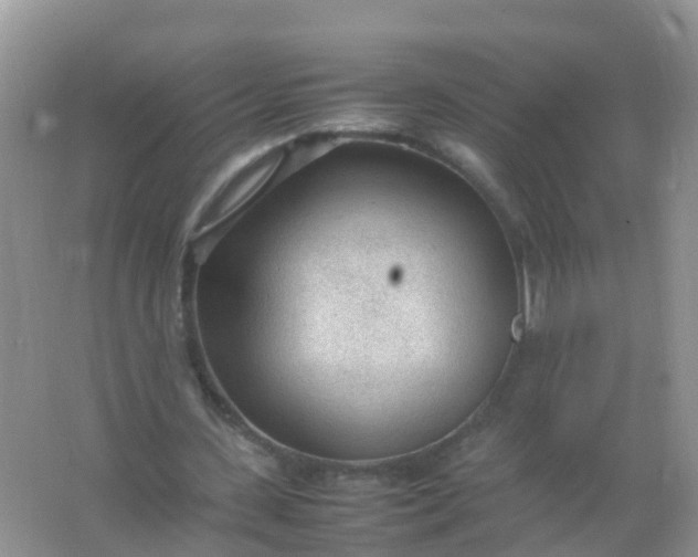 X0000066940531200604071915