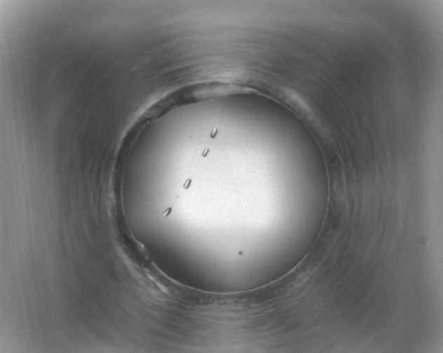 X0000066940532200604071915