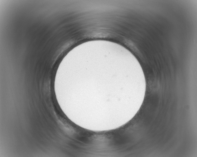 X0000066940534200604071915