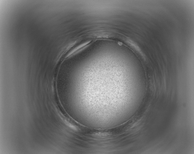 X0000066940537200604071915