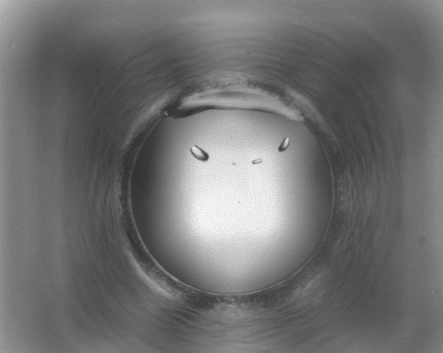 X0000066940538200604071915