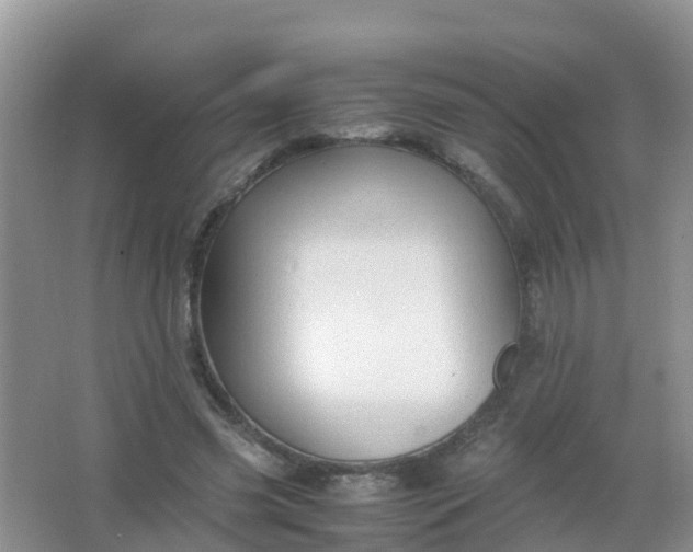 X0000066940541200604071915