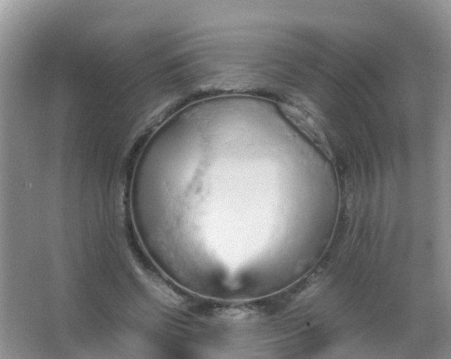 X0000066940542200604071915