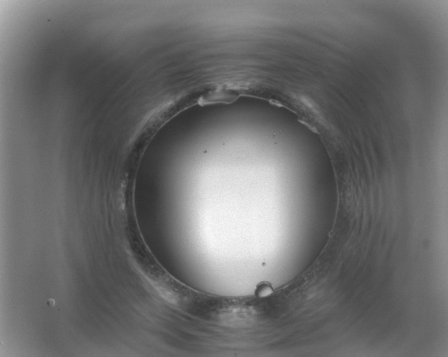 X0000066940543200604071915