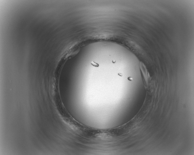 X0000066940544200604071915