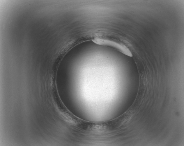 X0000066940546200604071915