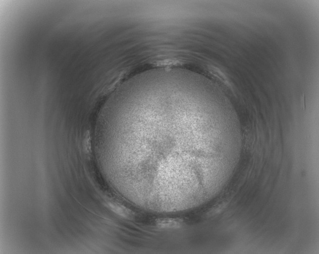 X0000066940549200604071915