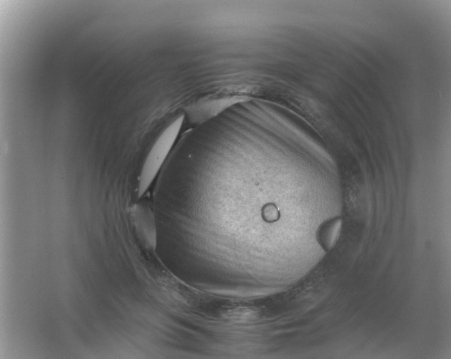 X0000066940551200604071915