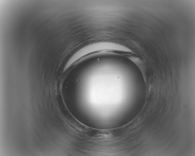 X0000066940552200604071915