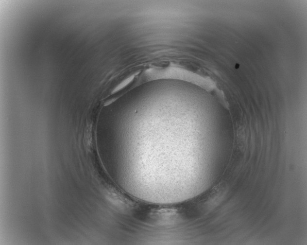 X0000066940554200604071915