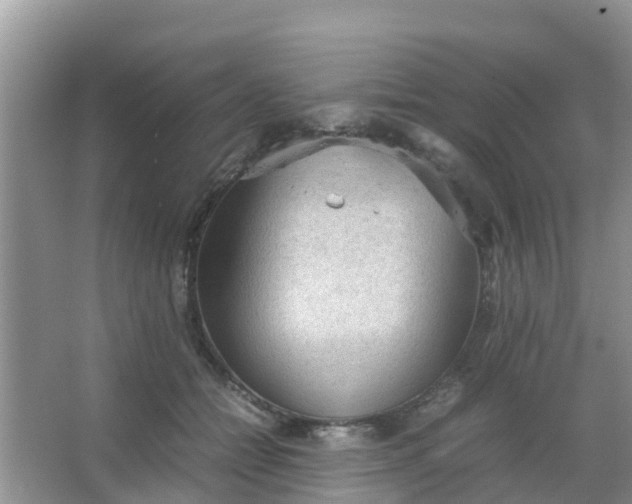 X0000066940558200604071915