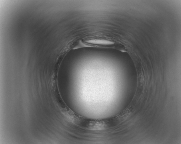 X0000066940559200604071915