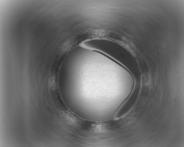 X0000066940564200604071915